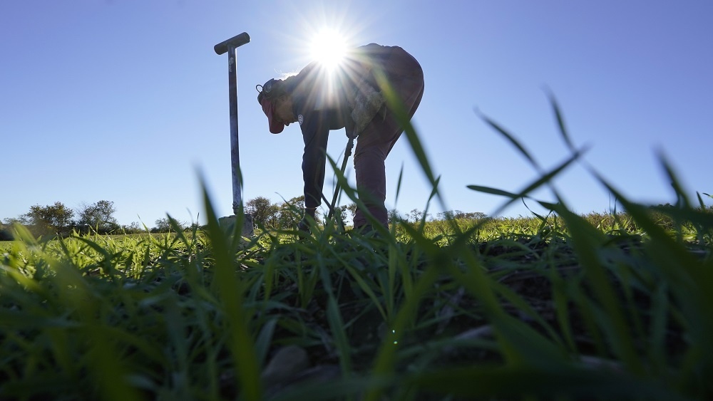     Фото: Steven Senne/Associated Press/East News