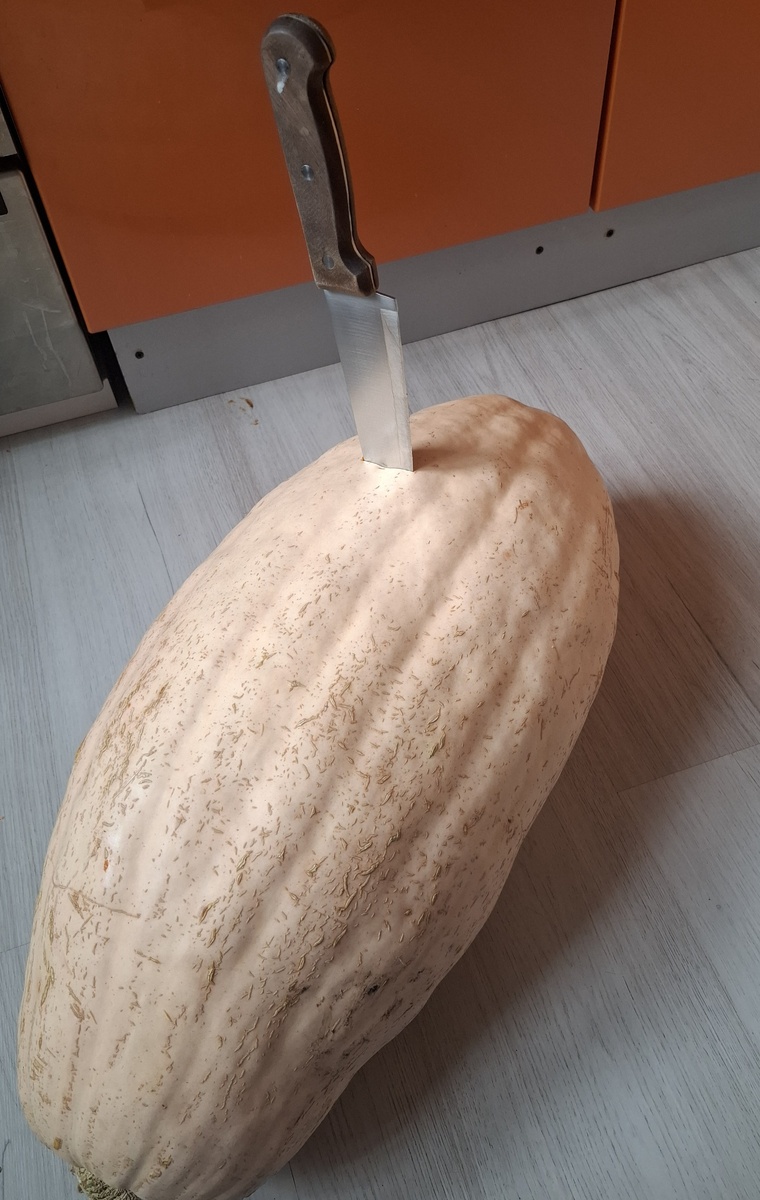 13 кг, хотя по объёму большая