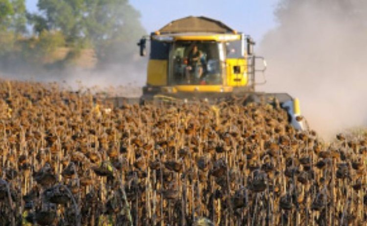    Фото: Минсельхоз Липецкой области