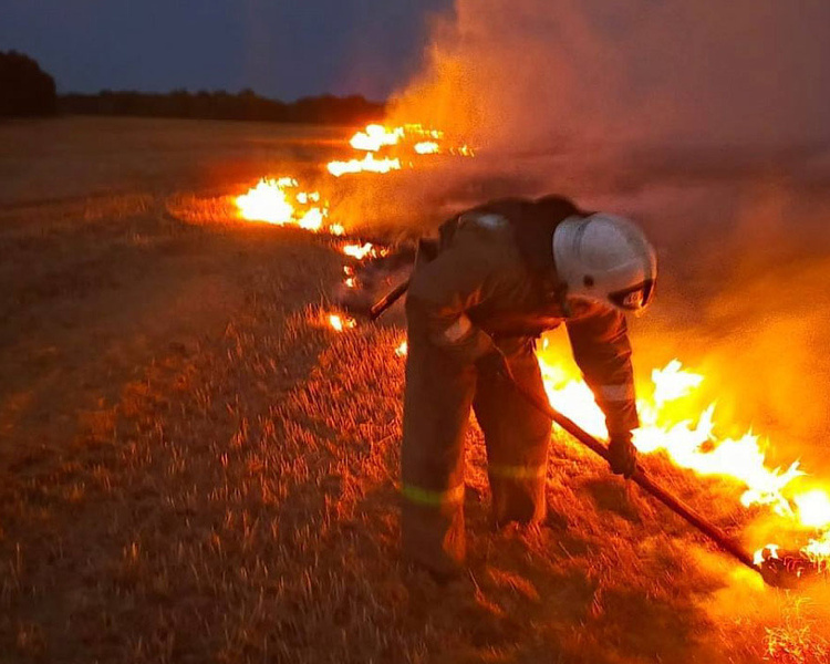     В Курской области признали лучшей добровольную пожарную команду Рыльского района