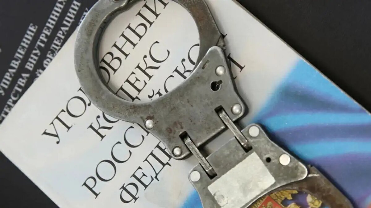    Уголовный кодекс РФ. © Портал «МВД Медиа»