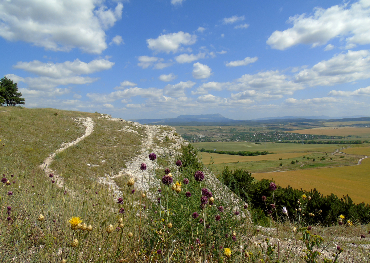 Чатыр-Даг вдали