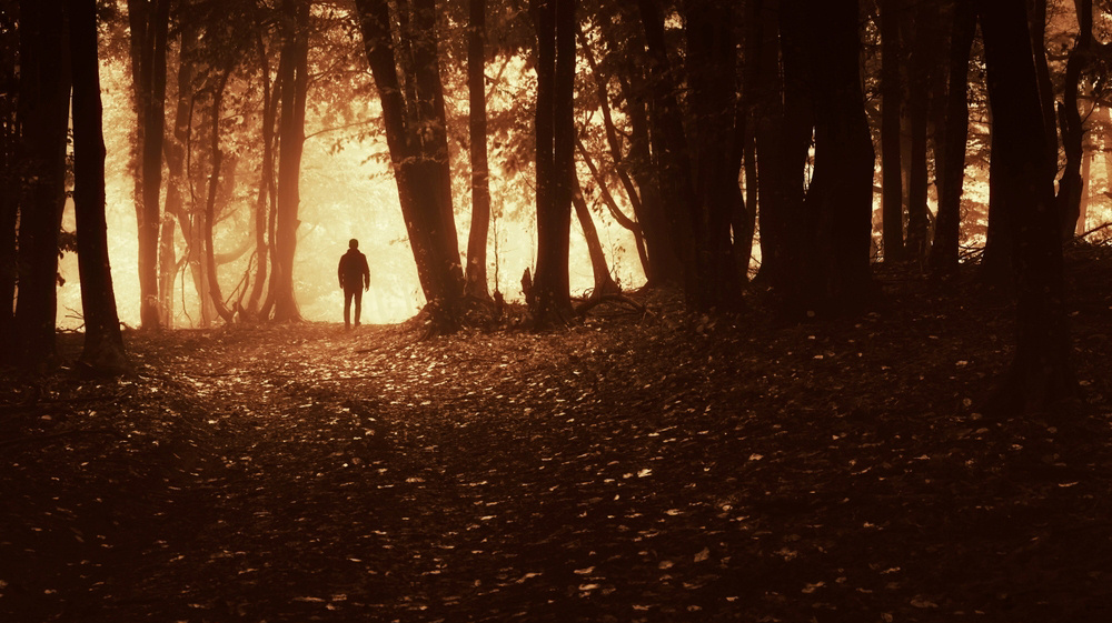     Фото: andreiuc88/Shutterstock/FOTODOM