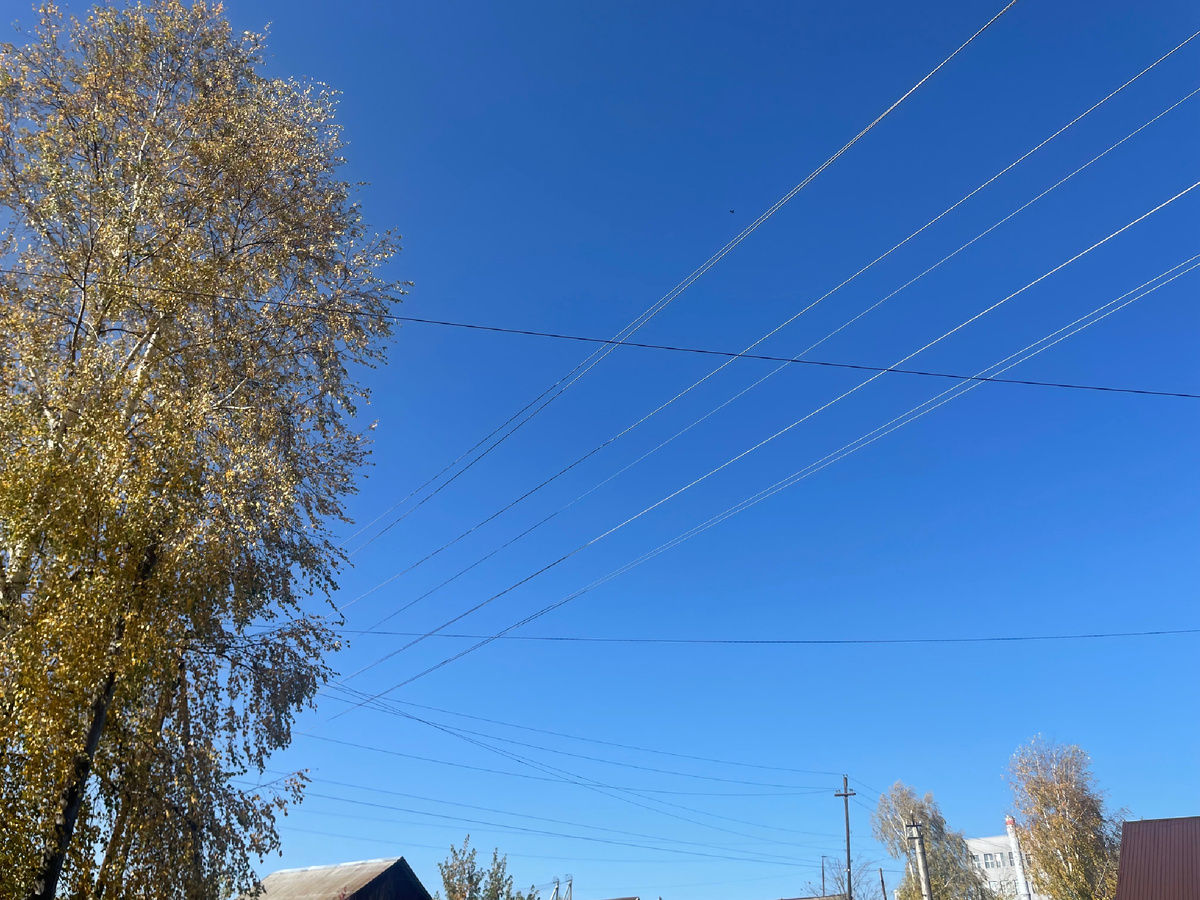 Личное фото автора канала