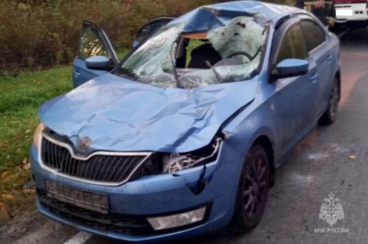    На 35% снизилось количество ДТП с детьми в Псковской области