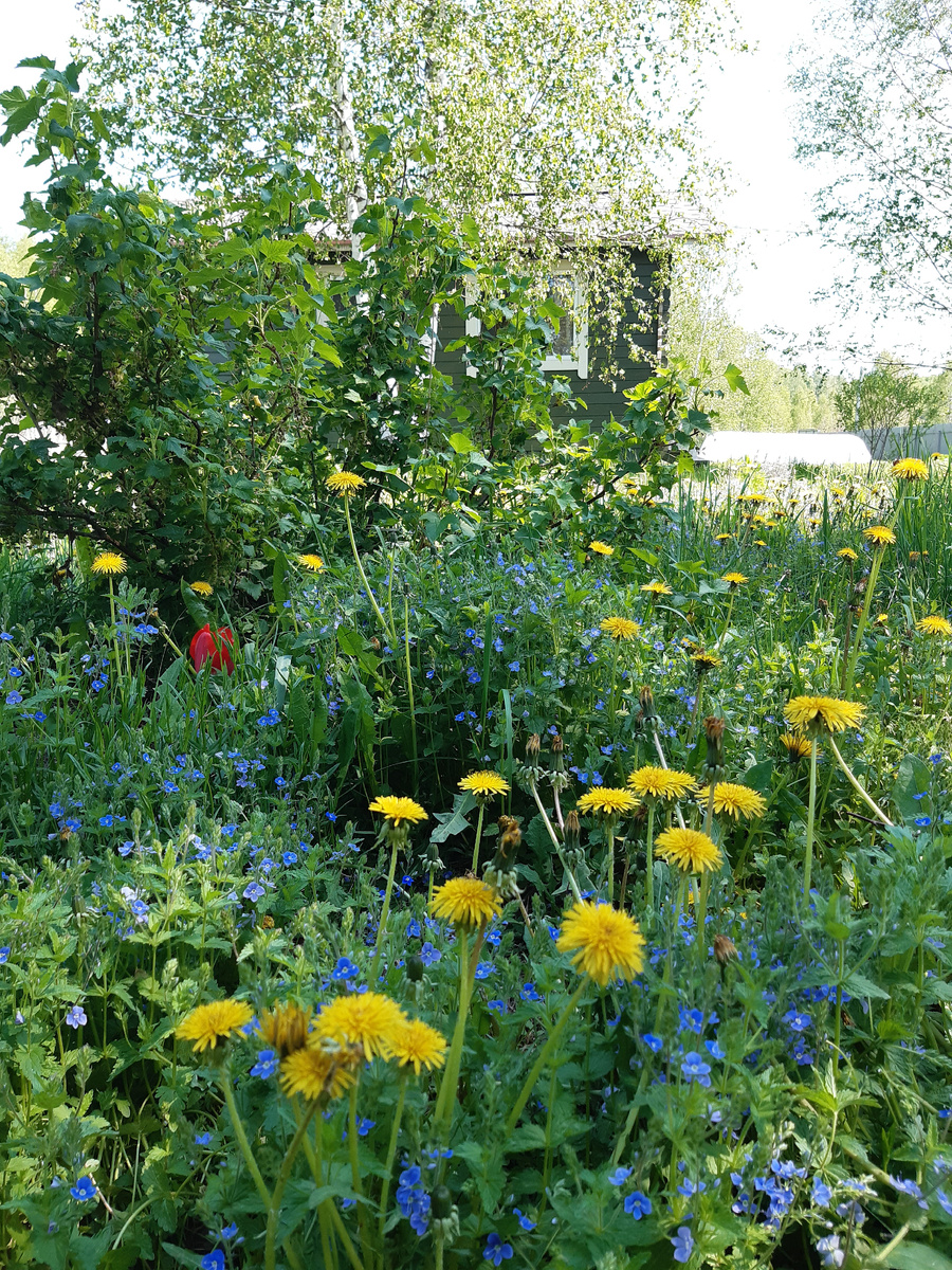 Лето, ах, лето! 