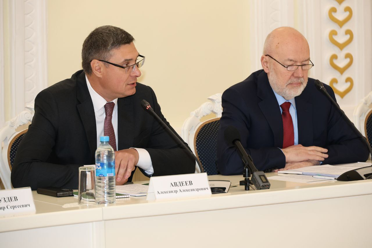    Фото: Правительство Владимирской области, источник: avo.ru