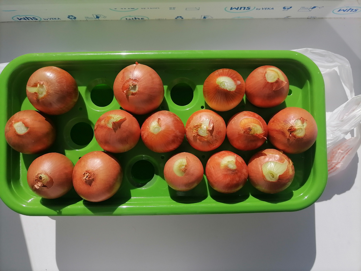 Немного не хватило. Мелкого больше не было.