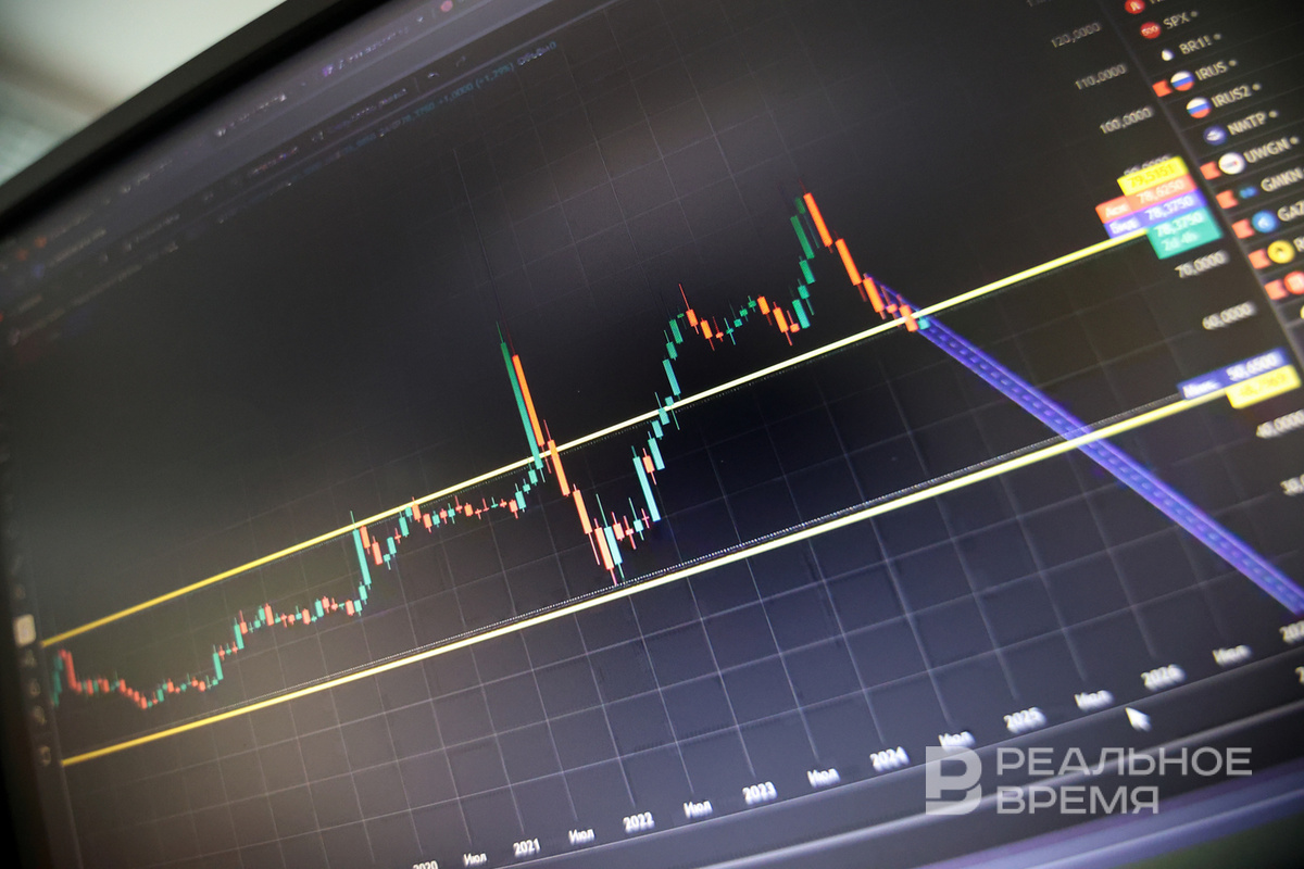   Артем Дергунов / realnoevremya.ru