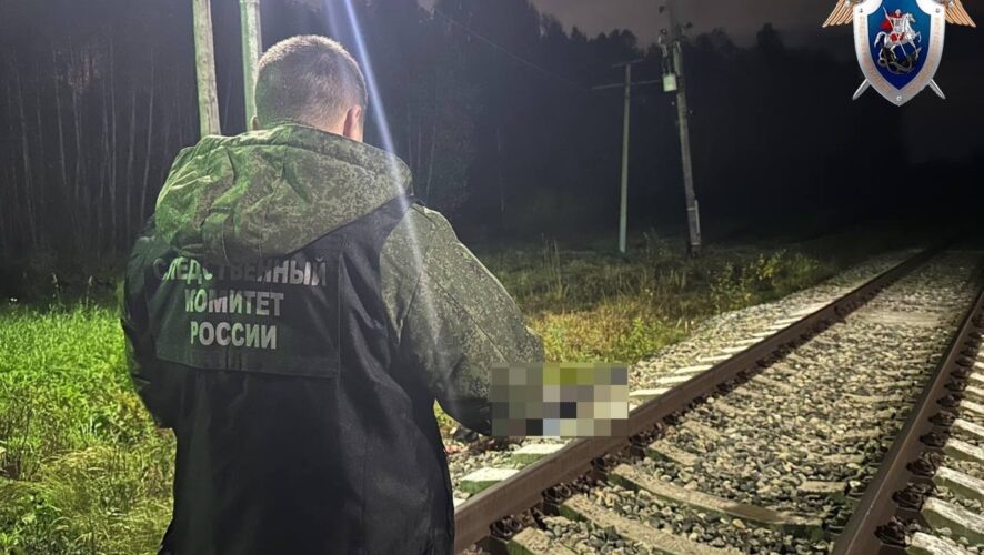    Фото: Центральное МСУТ СК России