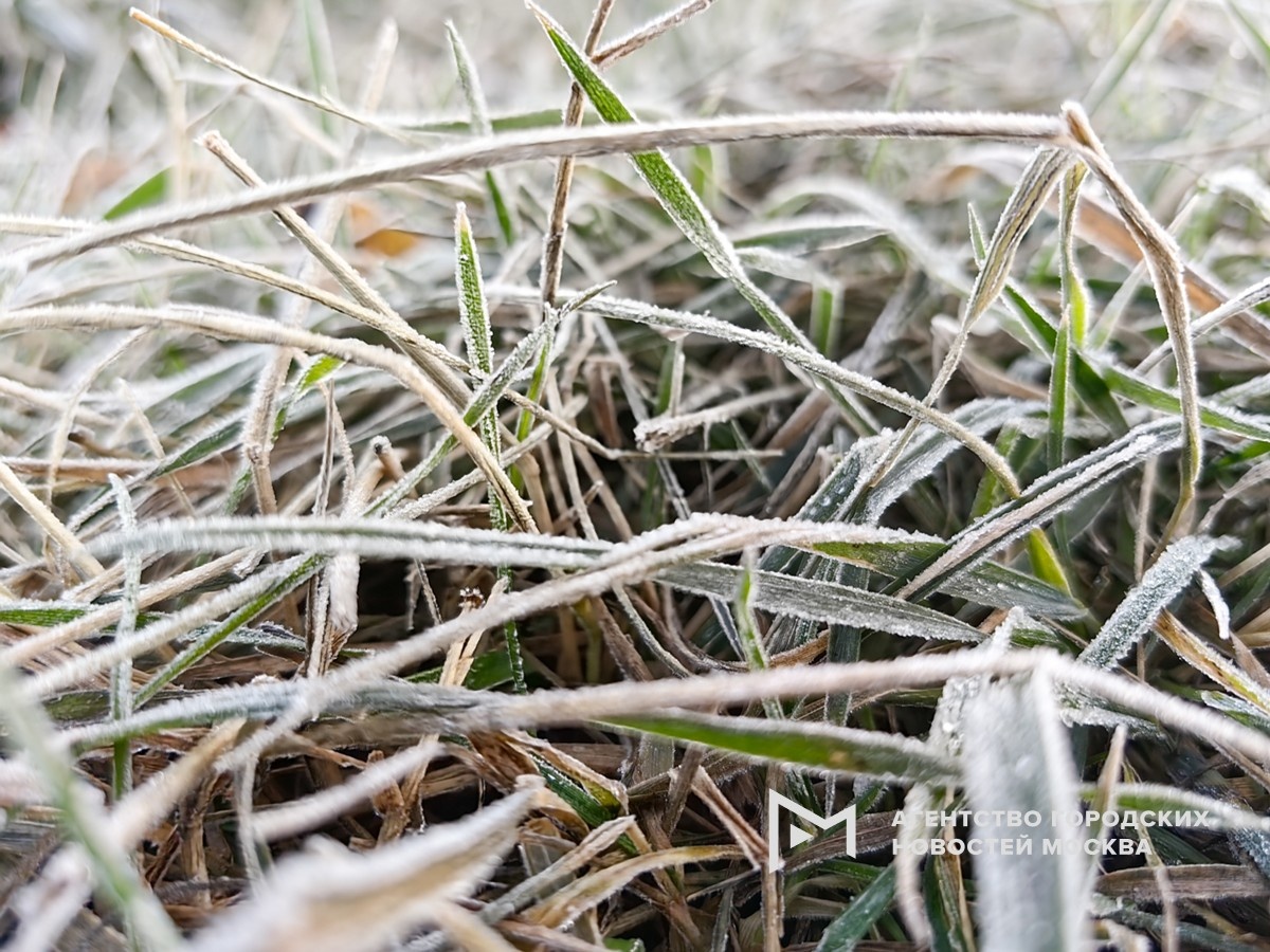 Фотограф: Василий Кузьмичёнок