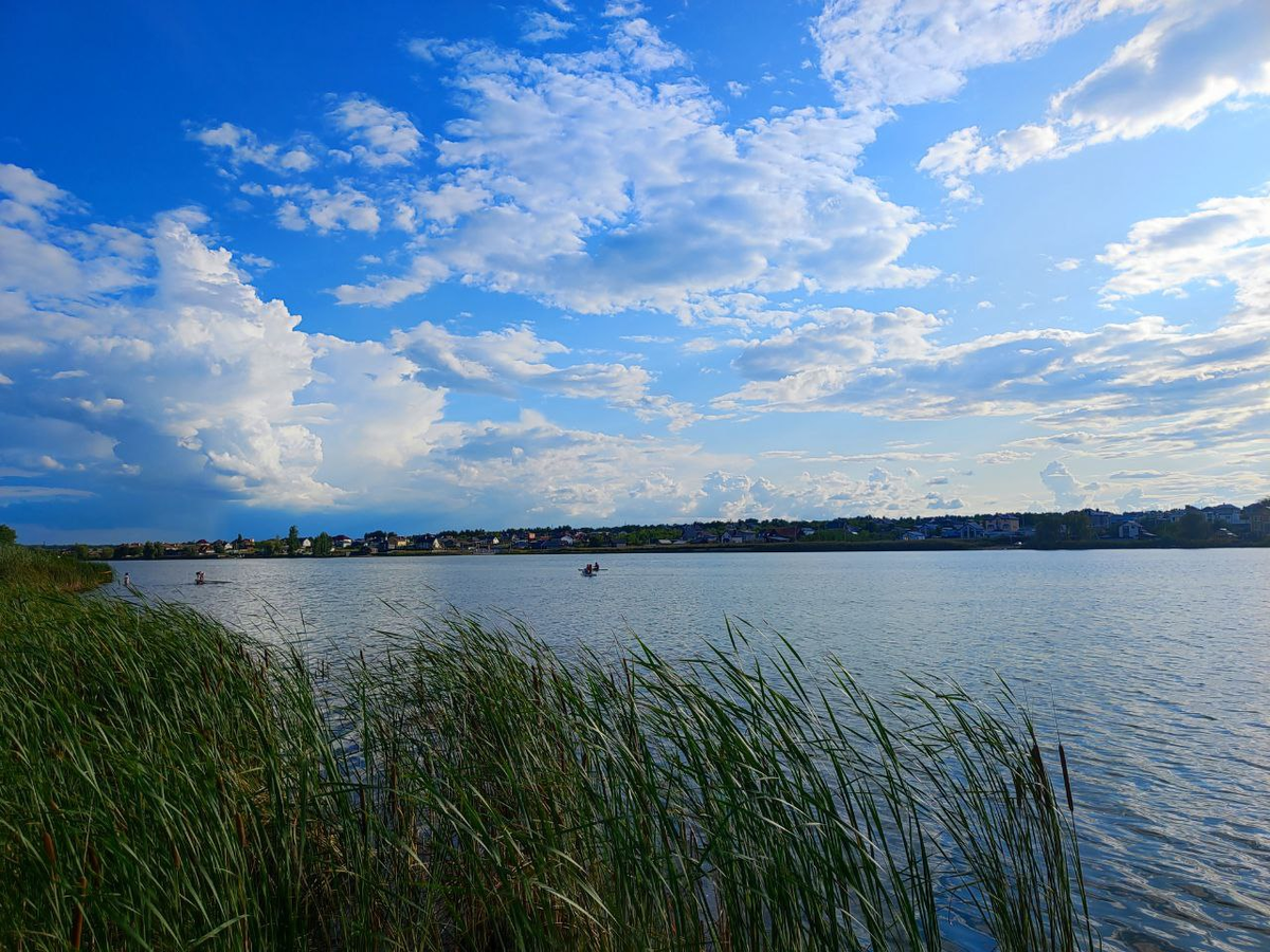 Фото автора.