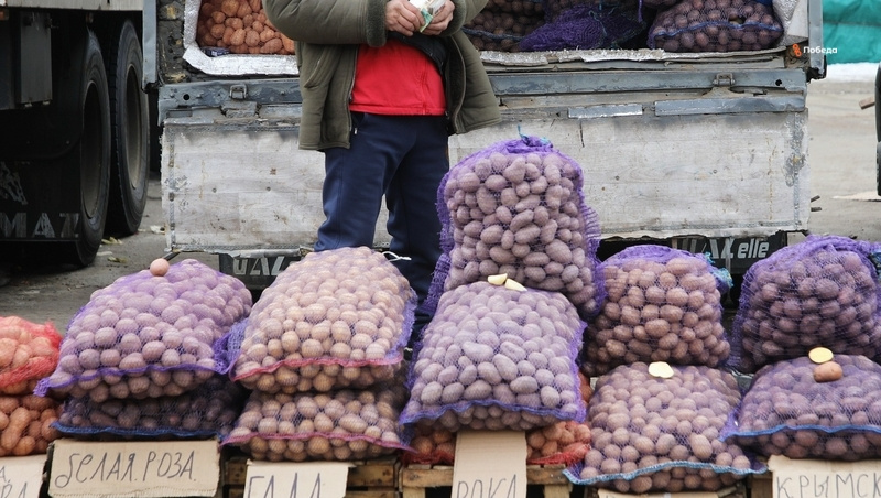      Фото: Дмитрий Ахмадуллин / / ИА «Победа26»