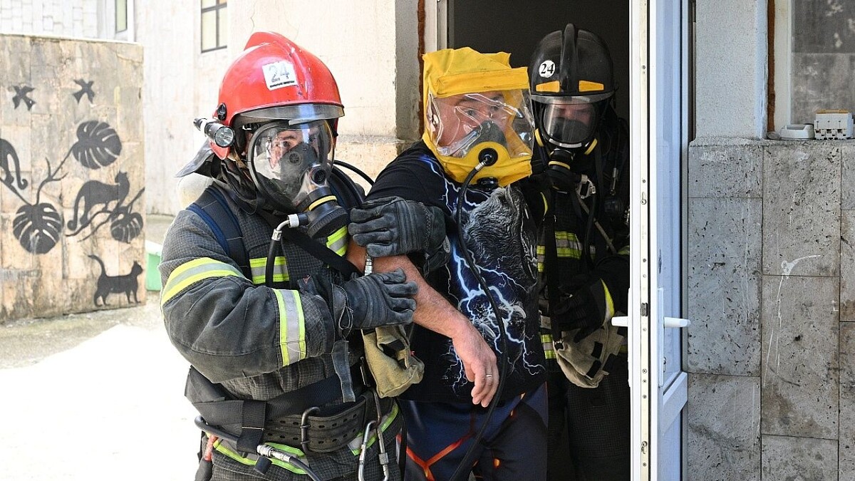    Фото: пресс-служба администрации Сочи