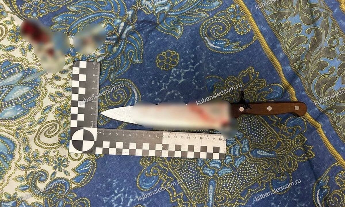    Фото пресс-службы СУ СК РФ по Краснодарскому краю