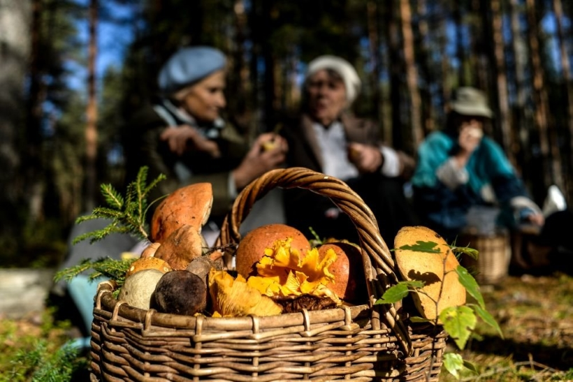 Любогорье спасибо за фото