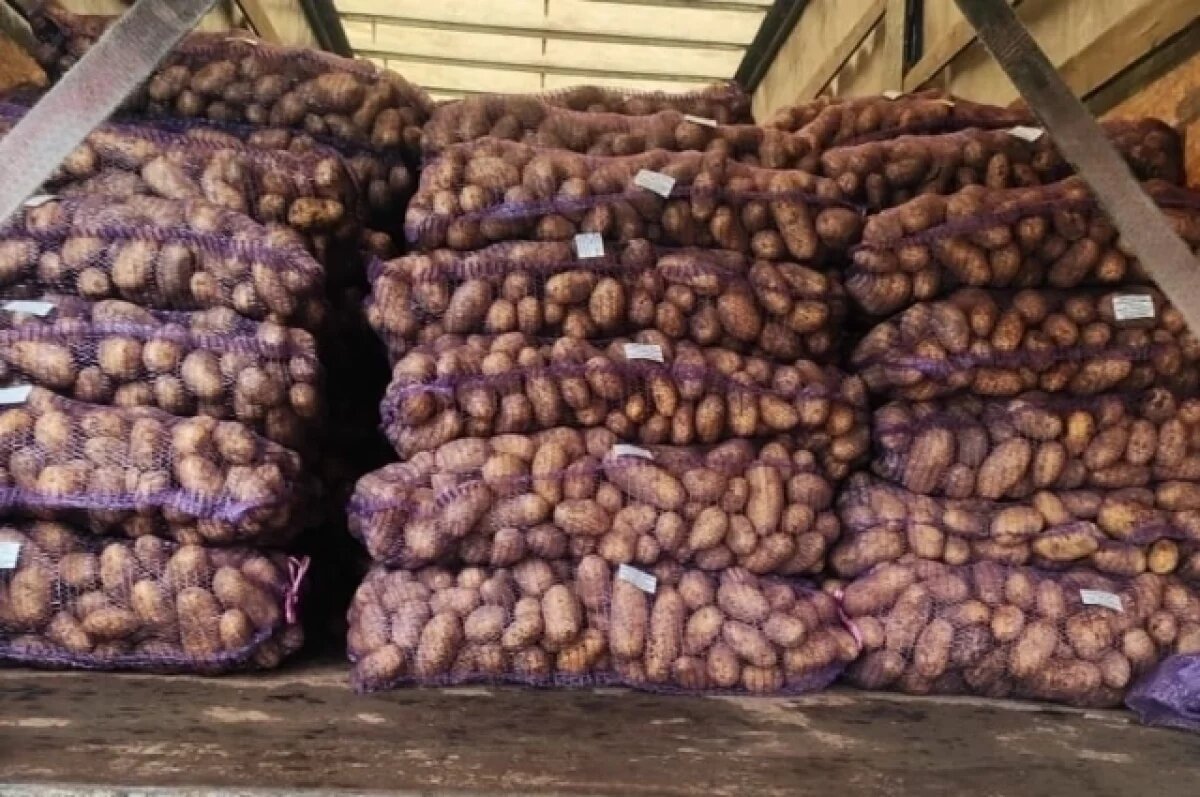    Россельхознадзор не пропустил на Брянщину 22 тонны картофеля из Беларуси
