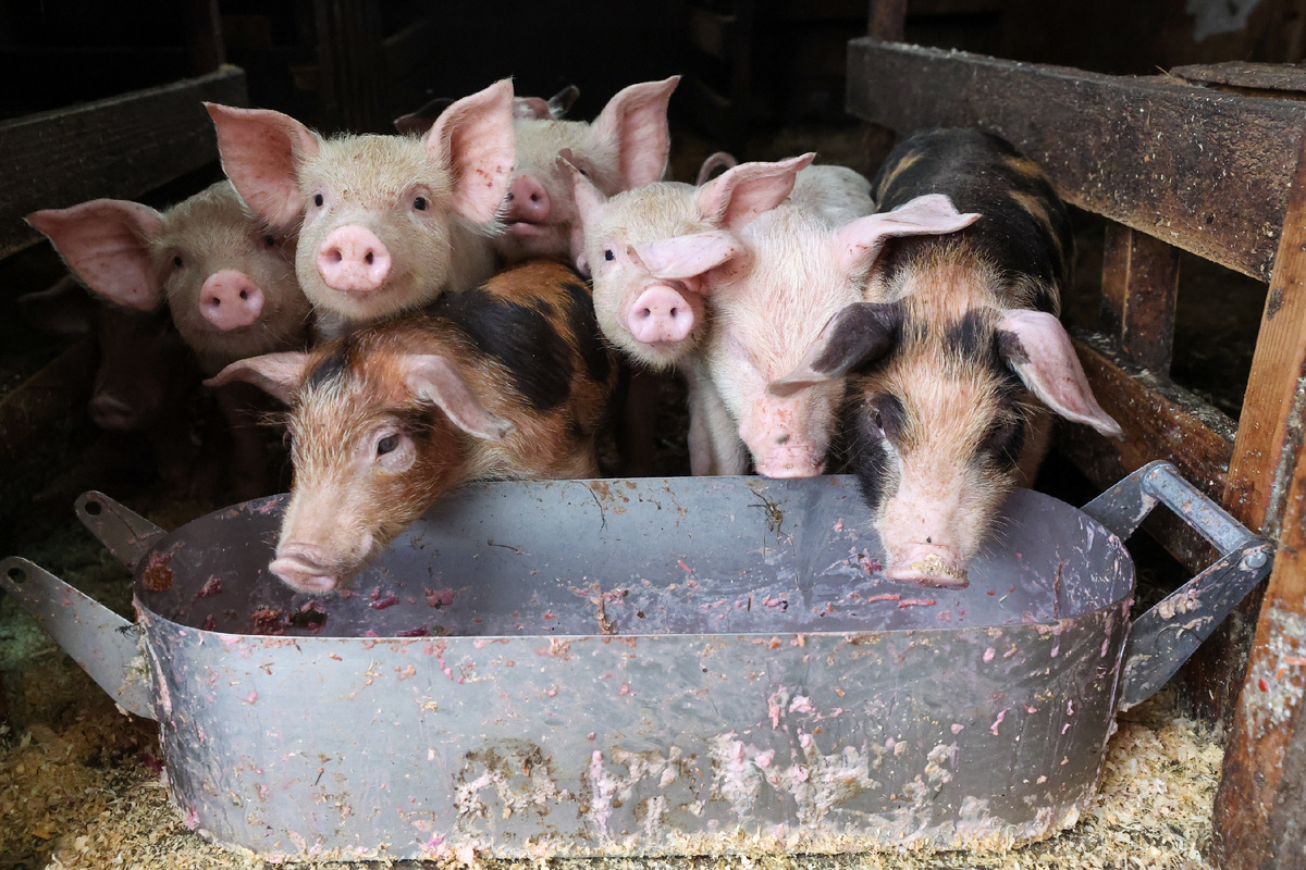 Фото: Belkin Alexey / news.ru / globallookpress
