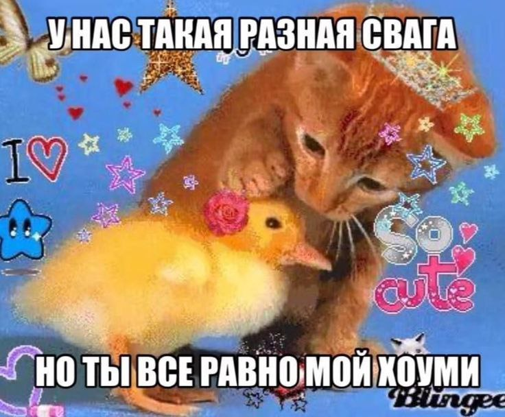 ваши люди вас все равно найдут...