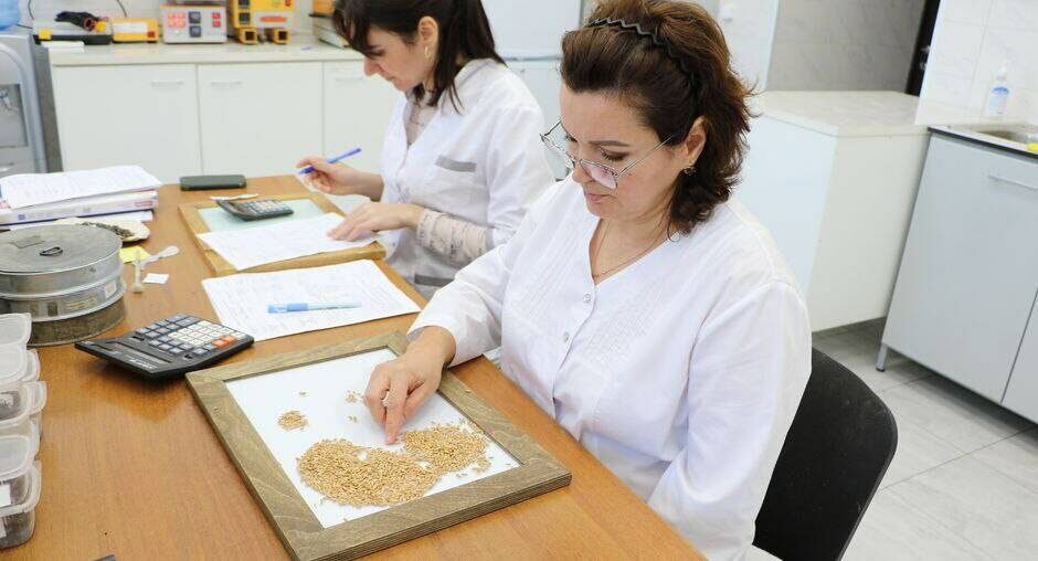 Фото: Федеральный центр оценки безопасности и качества продукции агропромышленного комплекса по Татарстану