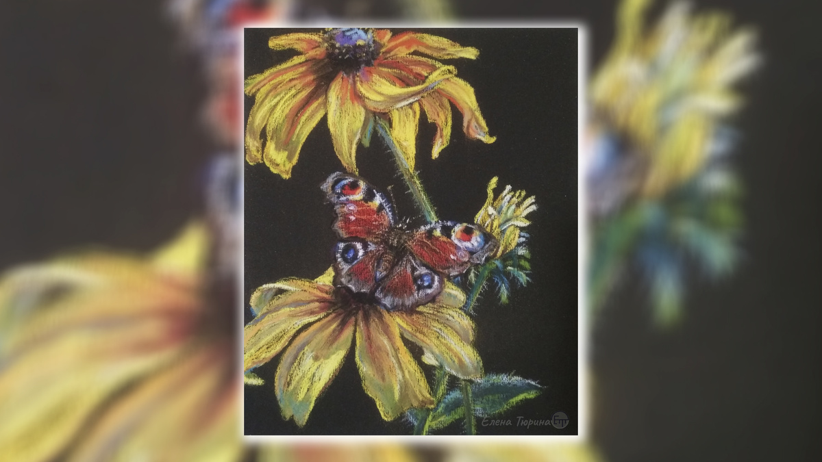 Художник: Елена Тюрина. Бабочка Павлиний глаз. Абразивная бумага. Сухая пастель.