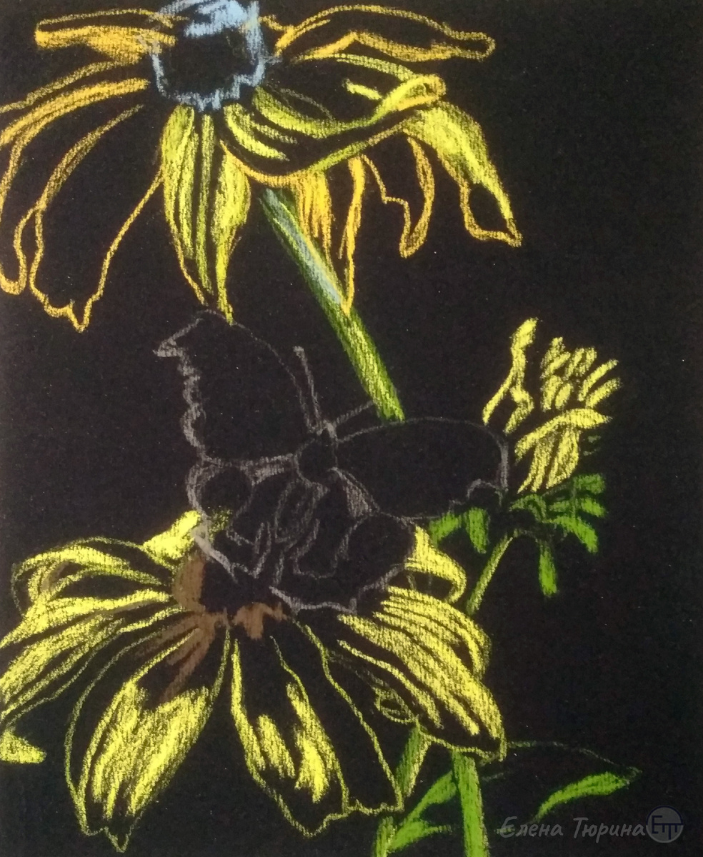 Художник: Елена Тюрина. Бабочка Павлиний глаз. Рисунок композиции. Сухая пастель. Размер: 280x230 мм. Этап I