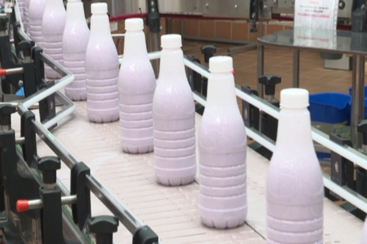    Фото: ГТРК "Южный Урал", источник: cheltv.ru