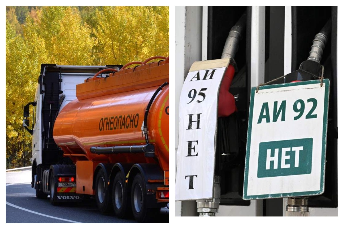    Фото: Виталий Аньков, источник: ria.ru. Фото: Илья Наймушин, источник: ria.ru