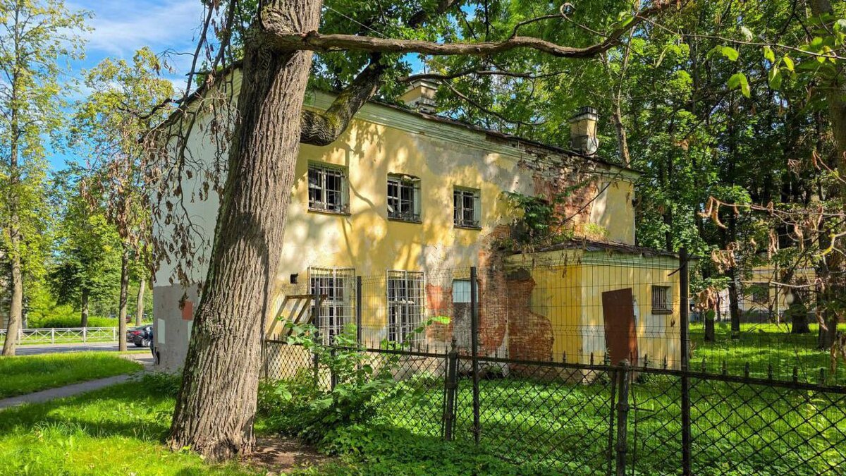    Фото: t.me/smolnypress