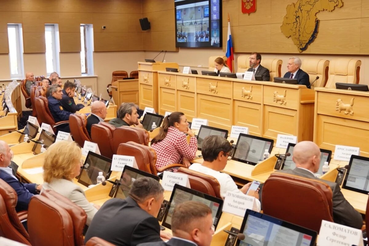    Меры по информационной безопасности для детей обсудили в ЗС