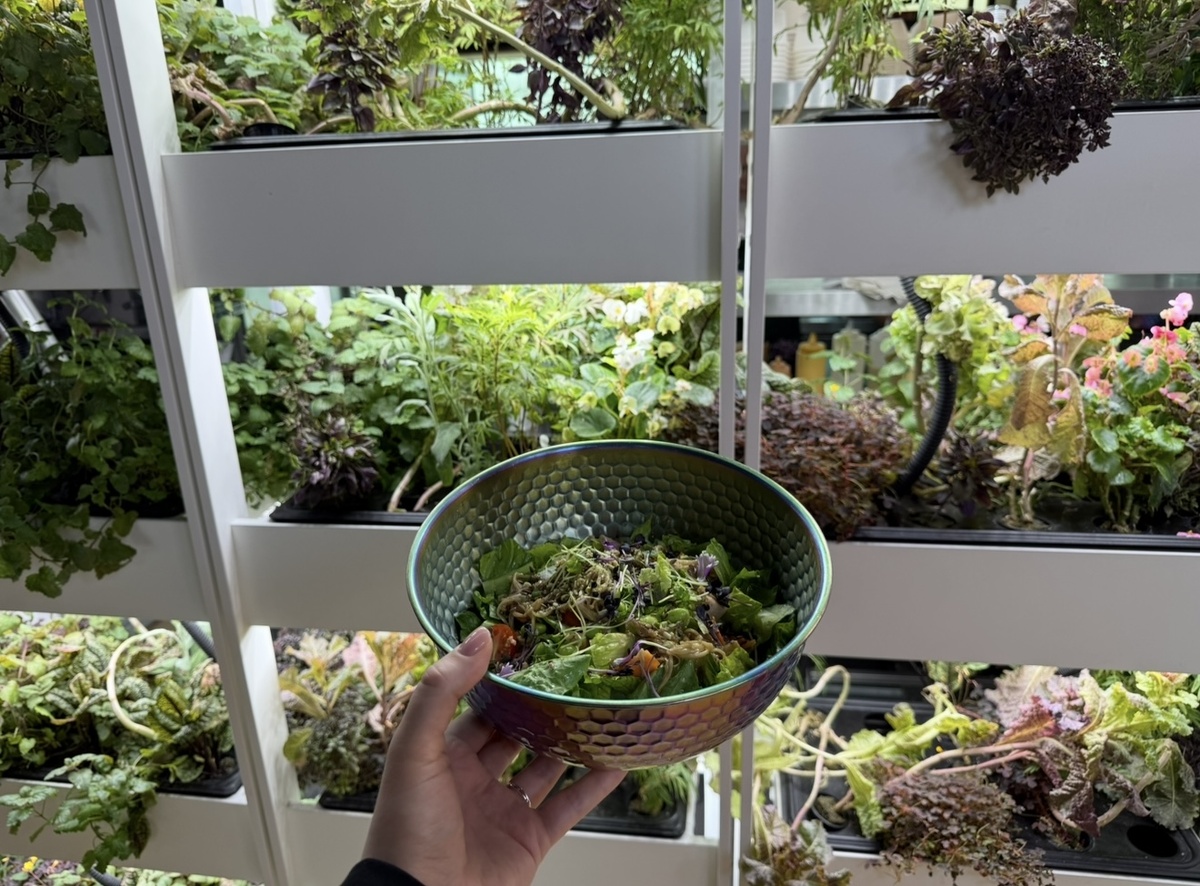 О ресторанах будущего 