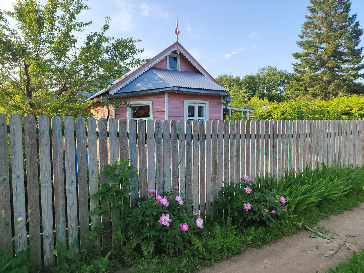 Фото автора.