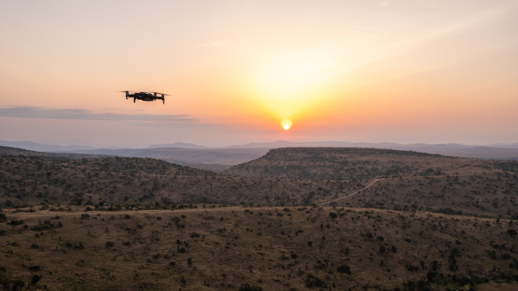    Фото: Freepik.com