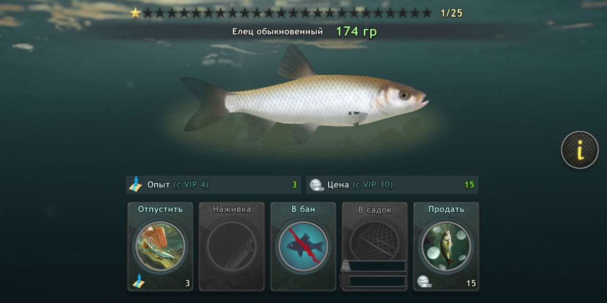 Игра World of Fishers