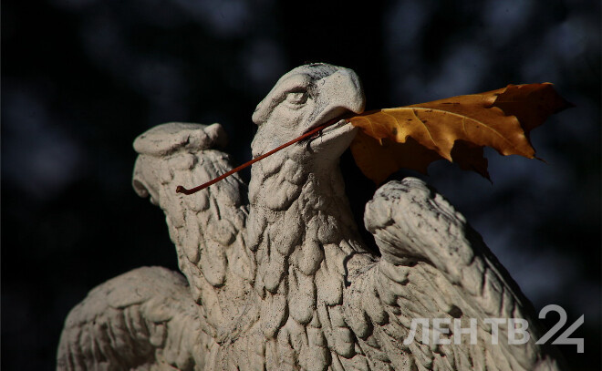    © Анастасия Илюшина / ЛенТВ24, архивное фото