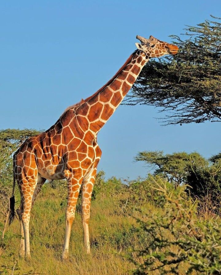 но иногда  расслабиться 