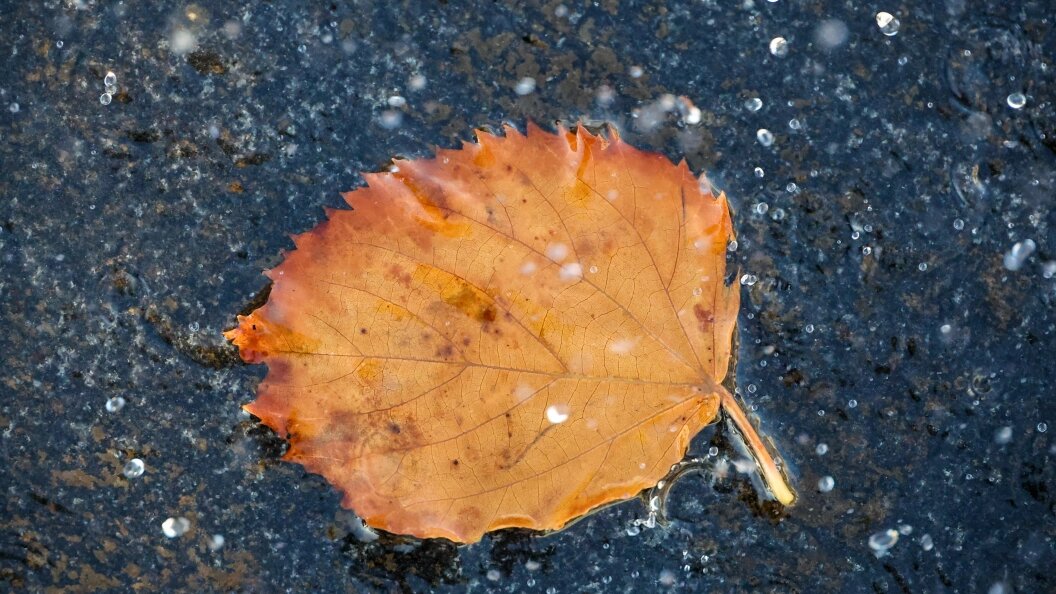    Фото: Belkin Alexey/Globallookpress