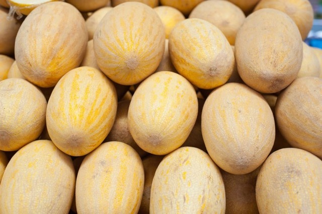   Фото из архива Калининград.Ru