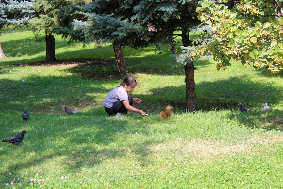 В воскресенье состоится любимый семейный фестиваль «Павловская белка» в Павловском парке.  Фото: Фото: ФедералПресс / Ксения Кобалия