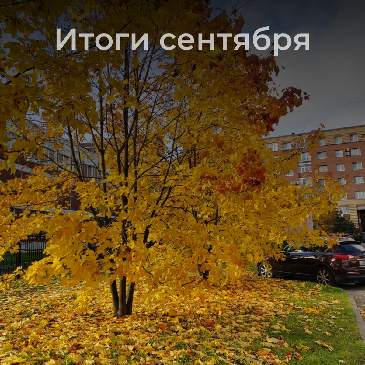 Фото автора. Фото октября прошлого года. 