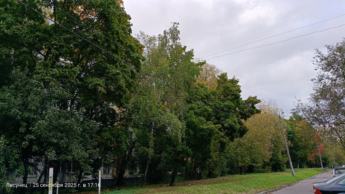 Фото автора вО дворе.