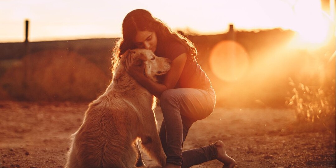 Чем больше я узнаю людей, тем больше я люблю собак»: этой фразе 200 лет, а автор — женщина