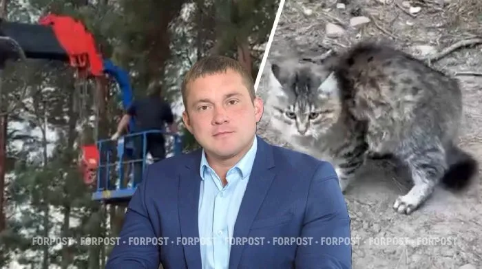 Николай Хрычов удивлён, что новость о спасении кота затмила дела насущные
Фото:
Коллаж ForPost / кадры видео со страницы ВК Николая Хрычова