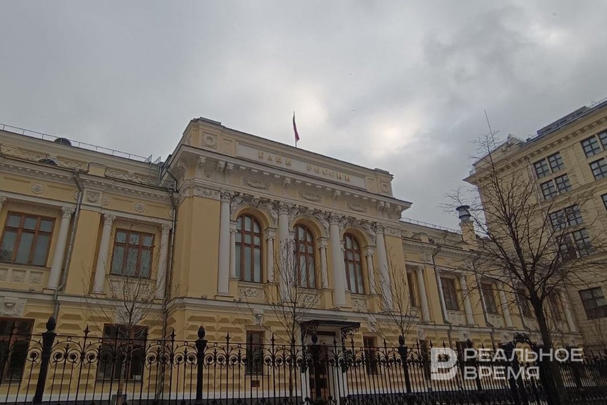   Арсений Губаев / realnoevremya.ru