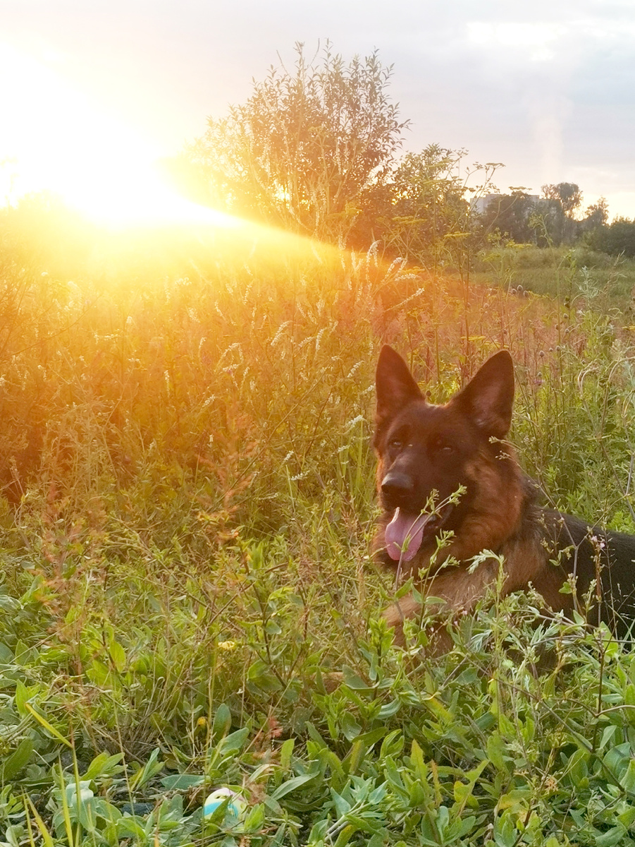 Асгерт, июль 2025. 