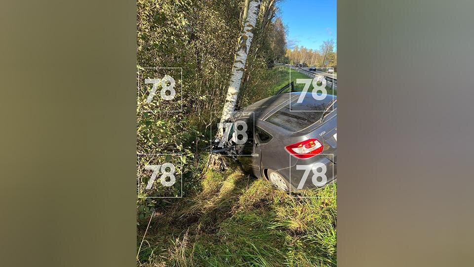    Фото: 78.ru