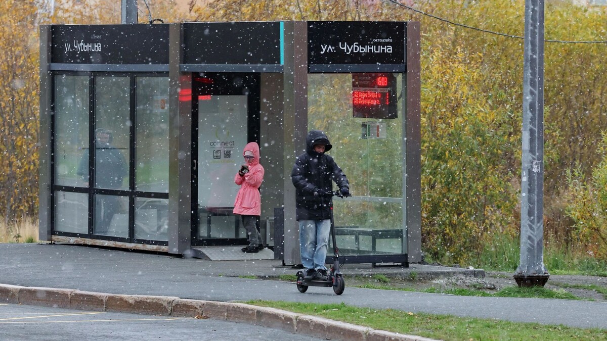   Фото: Андрей Ткачев/«Ямал-Медиа»