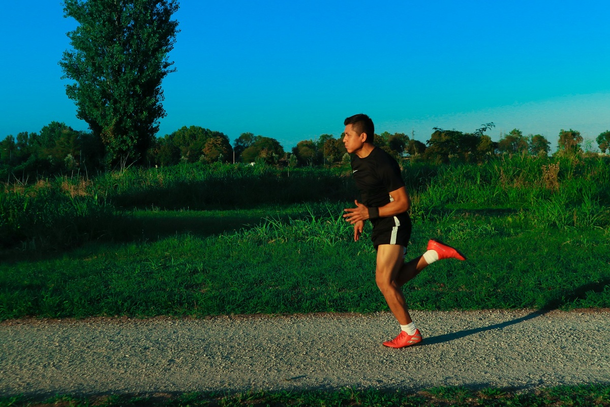 Изображение взято из открытых источников. 