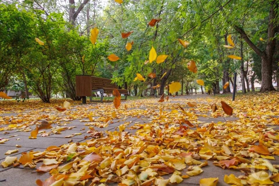    Фото: Дмитрий Рогулин/"Городские вести"