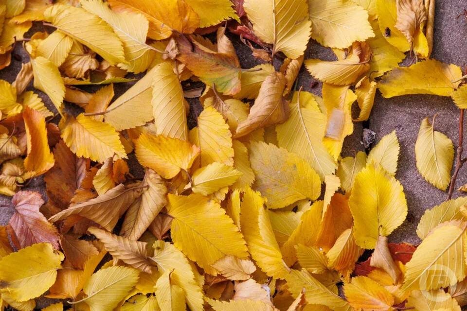    Фото: Дмитрий Рогулин/"Городские вести"